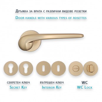 IVENTO 16 Door handle LUX, gold inox