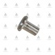 Socket Cap Nuts Fittings and fasteners