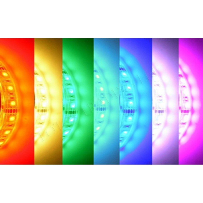 LED strip RGB 5050 30diods/m 31L.115.01 - Furniture LED lighting LED strip RGB 5050 30diods/m Furniture LED lighting