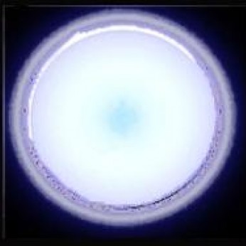 LED spot light Furniture LED lighting