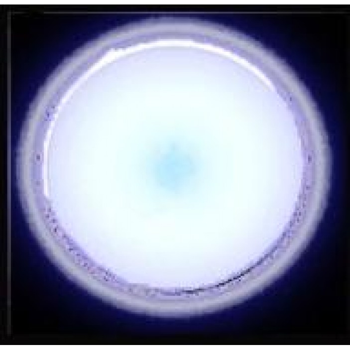 LED spot light 31L.310.01 - Furniture LED lighting LED spot light Furniture LED lighting