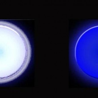 LED glassholder 417mm. Furniture LED lighting