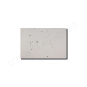Worktop 1050P/LPC Worktop 1050P/LPC